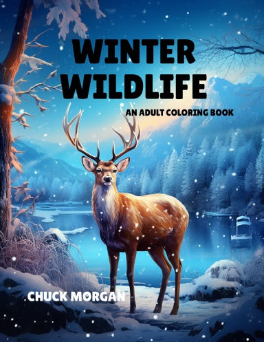 Book Cover Variant Thumbnail