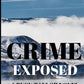 Book Cover Variant Thumbnail