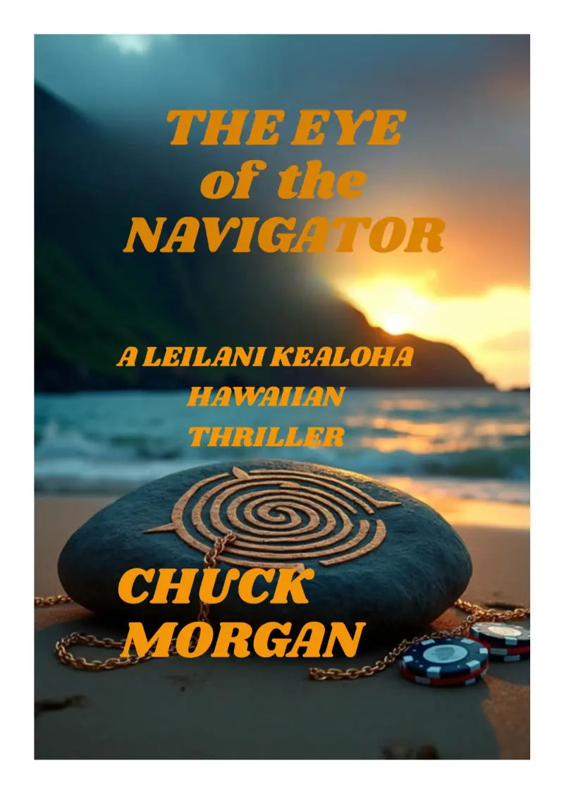 Book cover for 'The Eye of the Navigator' by Chuck Morgan, featuring a beach scene at sunset with a large stone showing a spiral design, gold title text, and the author's name in orange.